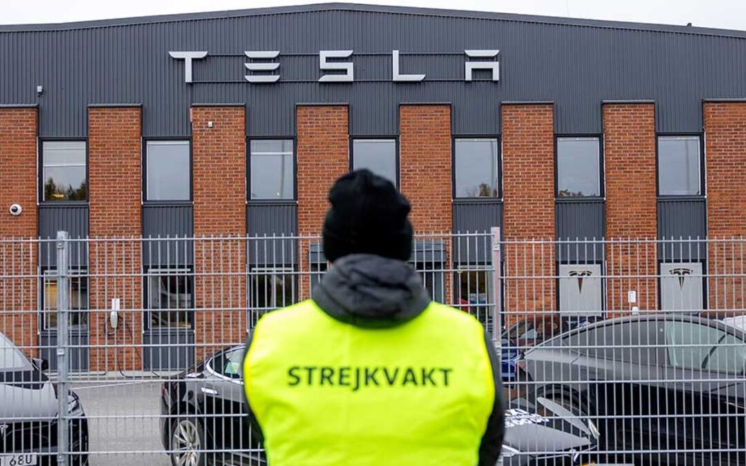Tesla en europe : Entre écologistes radicaux et résistance ouvrière