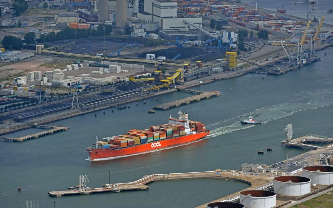 Le rugissement du quai: La grève des officiers de port
