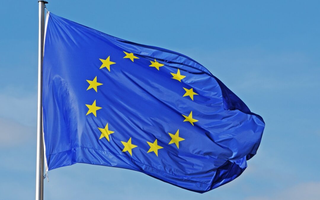 Le futur de l&rsquo;europe à portée de clic : L&rsquo;appel des urnes 2024