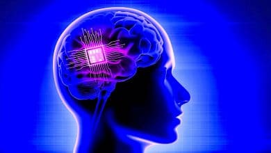 L&rsquo;ère du Pea-Sized Powerhouse: Le futur éblouissant de la neurotechnologie