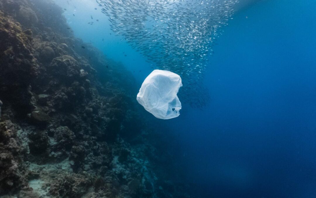 Plastique : La marée noire invisible