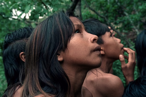 « La Fleur de Buriti »: Un cri du cœur de l&rsquo;amazonie