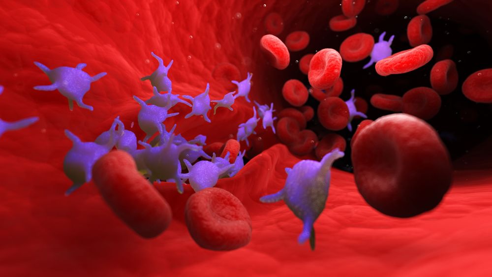 🩸 Les plaquettes, héros ou villains? Une révolution dans la lutte contre le cancer