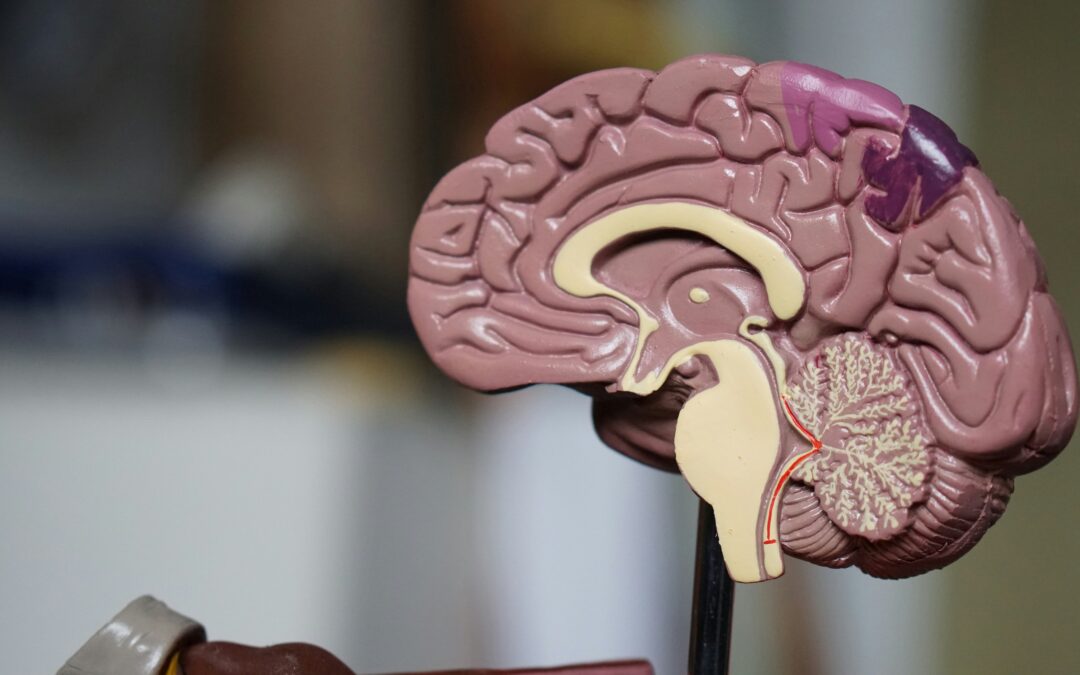 Révolutionner la médecine : l&rsquo;électrostimulation pour traiter le cerveau sans chirurgie