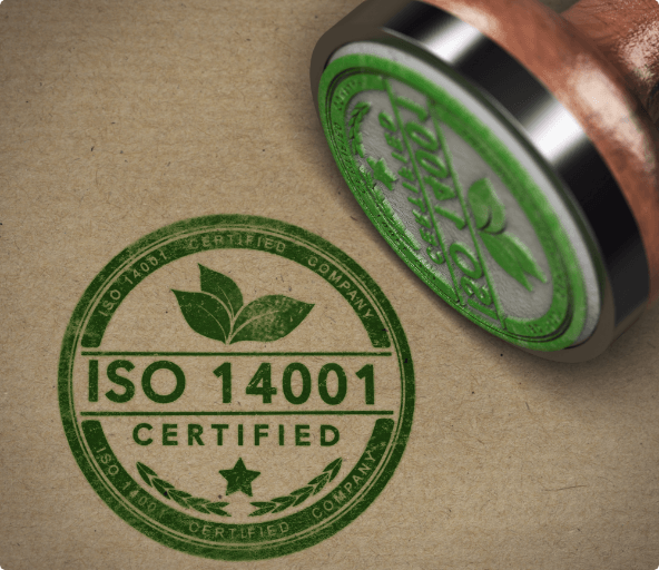 ISO 14001 : Le guide ultime pour un management environnemental révolutionnaire 🌍