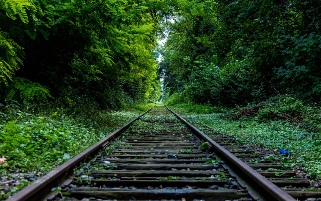 Pass Rail : la révolution du transport pour les jeunes de 16 à 27 ans