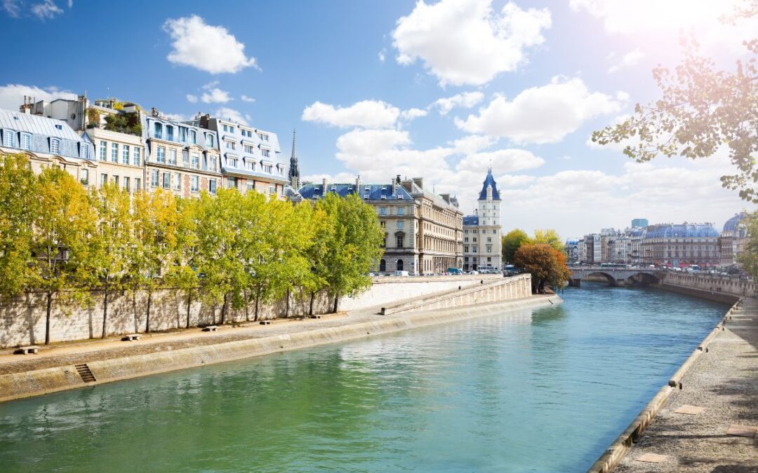 Jeux olympiques et tronçonneuses : la controverse des arbres à Paris