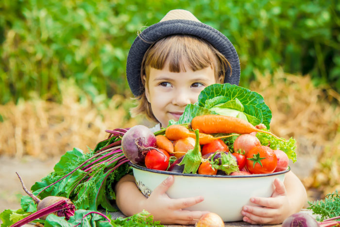 Mangez bien, pensez bien : Comment l’alimentation influence notre cerveau