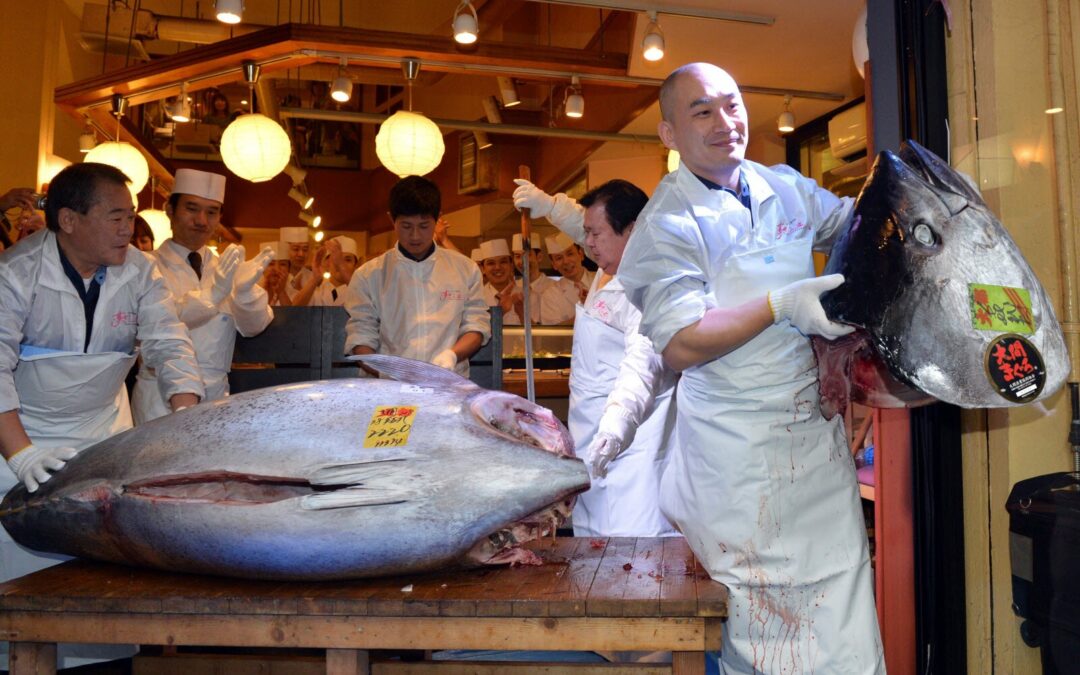 Révolution alimentaire au Japon : la génération des poissons sans arêtes