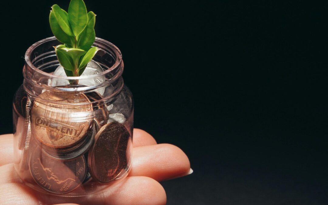 Économie verte et cap sur la durabilité