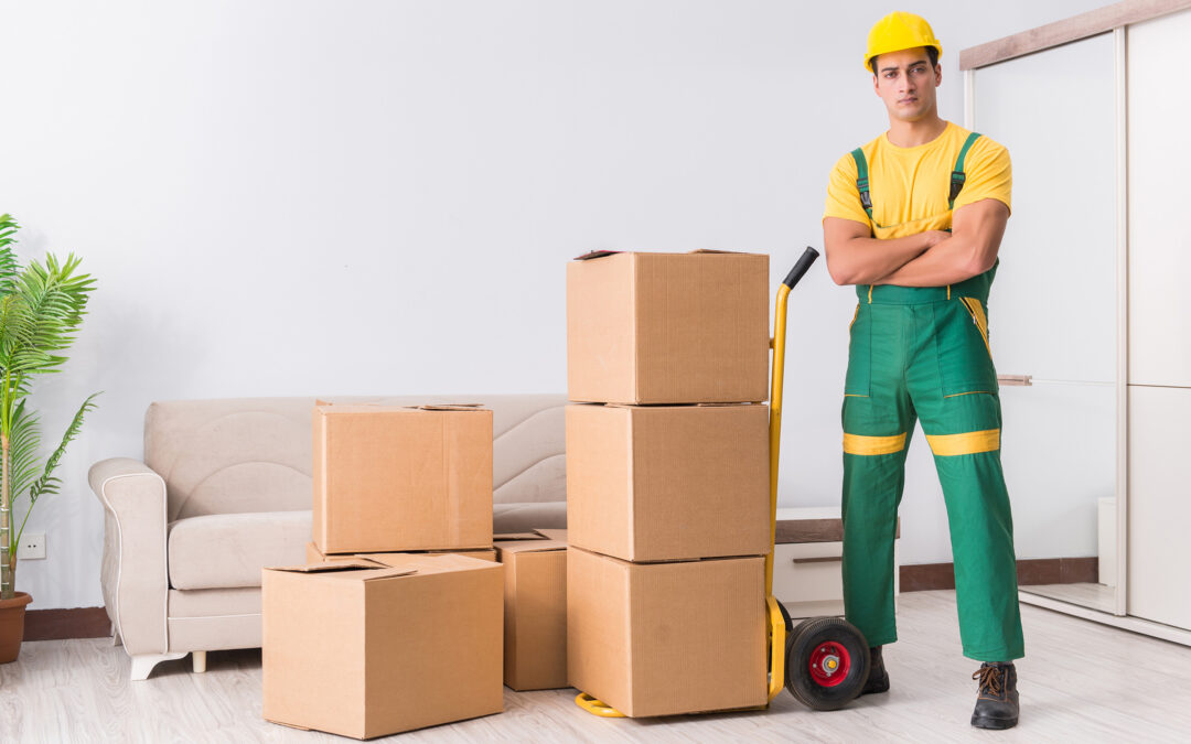 Les Compagnons Débarrasseurs : quel lien entre débarras et bien-être mental ?