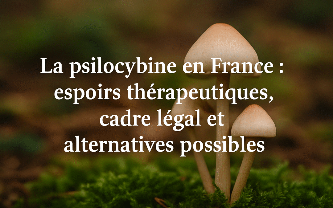 La psilocybine en France : entre recherches scientifiques, santé mentale et cadre légal strict