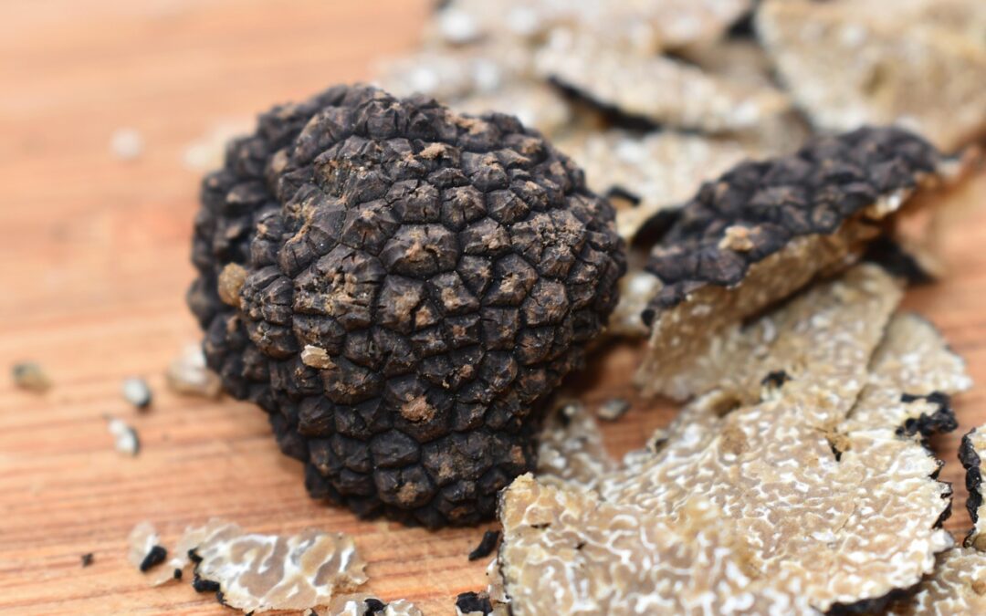 Truffe d&rsquo;été : comment bien la choisir et la déguster ?